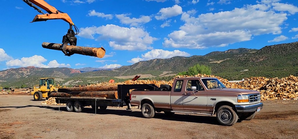 Large timber logs loaded onto a trailer with Southern Utah mountains in the background.